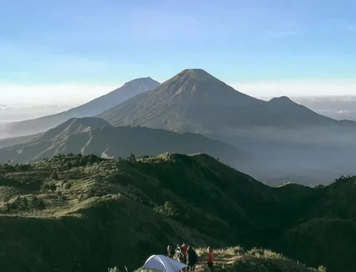 Gunung Prau: Daya Tarik, Rute, Jam Buka, HTM